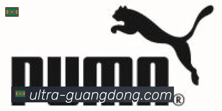 广东体彩合作伙伴