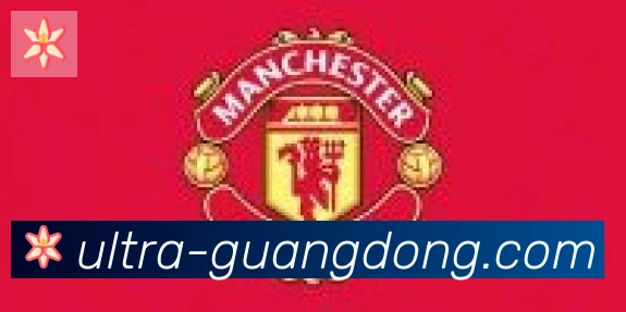广东体彩合作伙伴